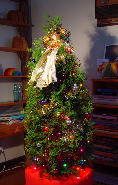 Our Living Christmas Tree