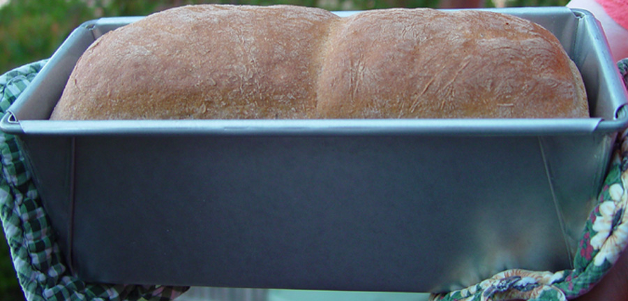 spelt-bread