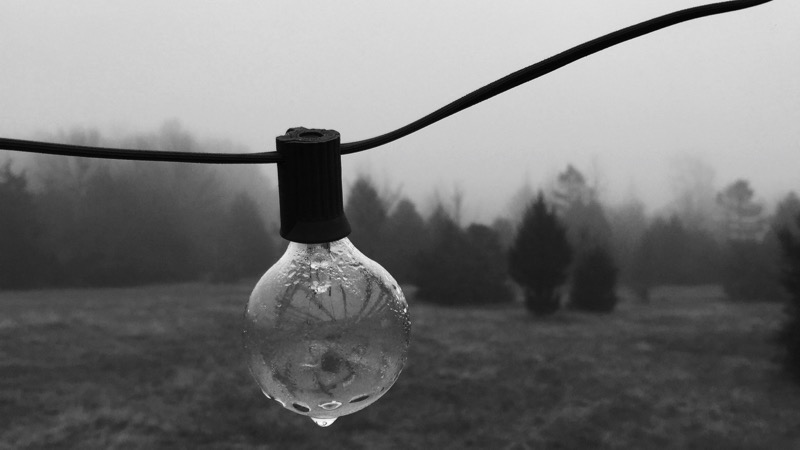 drop of water on lightbulb with foggy trees in background 
